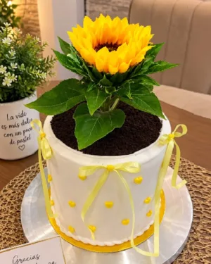Torta con Girasol Natural